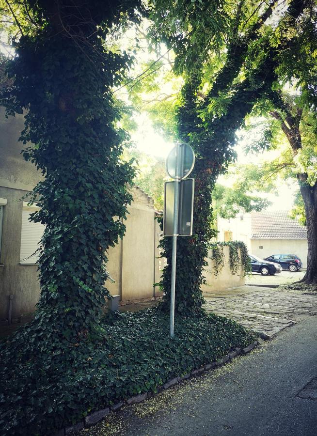 Centar Hotel Subotica Bagian luar foto